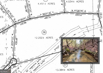 (private lake, pond, creek) Acreage For Sale in Clarkesville Georgia