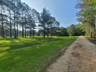 (private lake, pond, coastal) Acreage For Sale in Carriere Mississippi