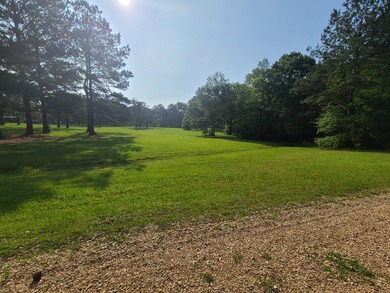 Paradise Found! This stunning property features an artesian well - photo 2