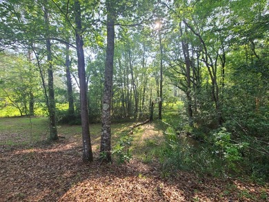 Paradise Found! This stunning property features an artesian well - photo 3