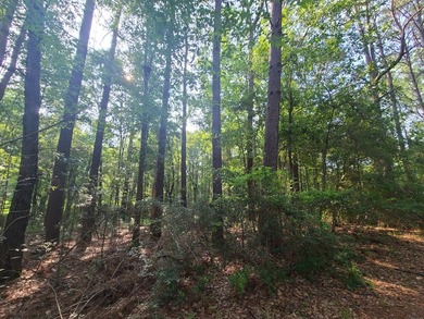 Paradise Found! This stunning property features an artesian well - photo 4