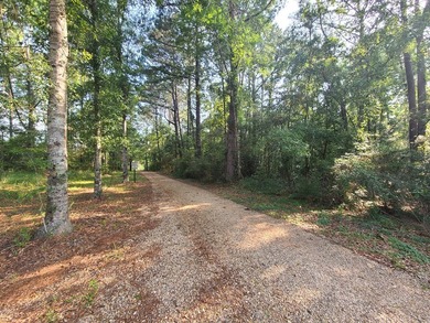 Paradise Found! This stunning property features an artesian well - photo 5