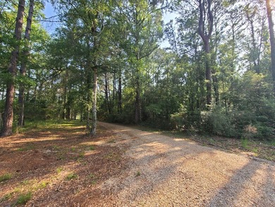 Paradise Found! This stunning property features an artesian well - photo 6