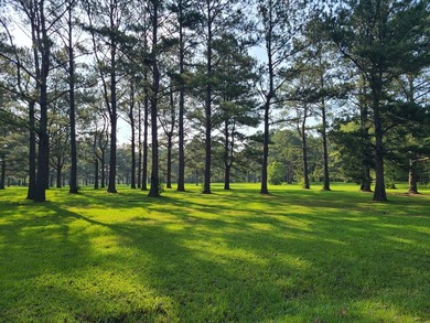 Paradise Found! This stunning property features an artesian well - photo 7
