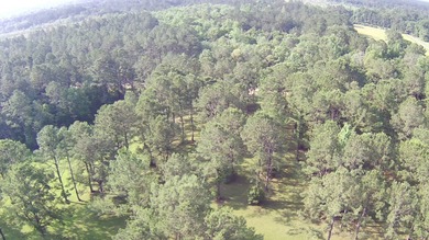 Paradise Found! This stunning property features an artesian well - photo 8