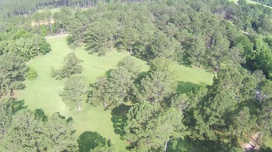 Paradise Found! This stunning property features an artesian well - photo 9
