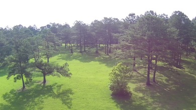 Paradise Found! This stunning property features an artesian well - photo 10