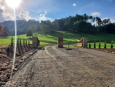 (private lake, pond, creek) Lot For Sale in Butler Tennessee