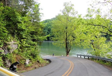 79 acre building lot right up the hill from a very convenient - photo 15