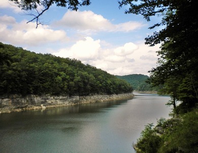 79 acre building lot right up the hill from a very convenient - photo 16