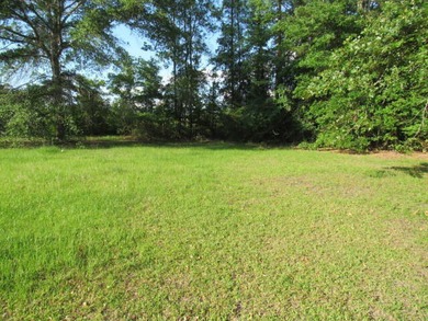 Wow, located minutes away from Toledo Bend Lake with 1.29 acres! - photo 16