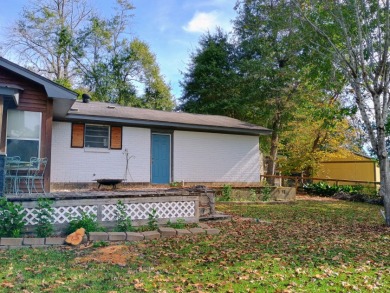 Ski Lake Brick Home Offered As A Package SOLD - photo 26