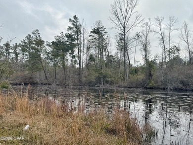 Additional listing photo 4