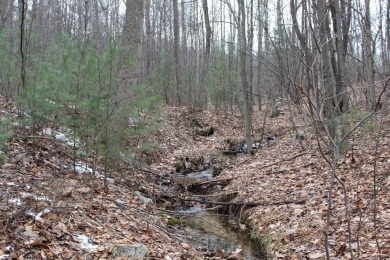 Lake Acreage For Sale in Huntingdon, Pennsylvania