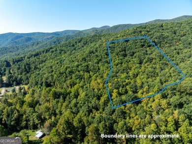 Lake Acreage For Sale in Hiawassee, Georgia