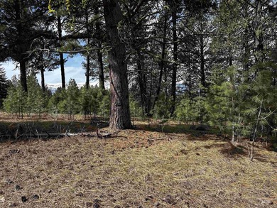 Cascade Lakeview Lot. Tucked at the end of a quiet cul-de-sac - photo 1