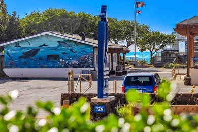 Ground floor Kihei Bay Surf studio with ocean views from the - photo 12