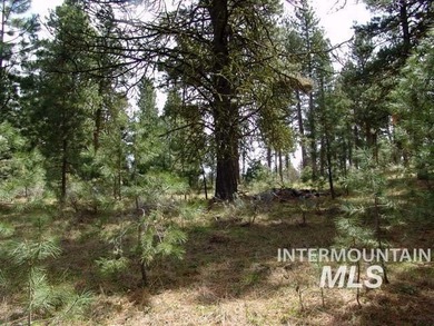 Cascade Lakeview Lot. Tucked at the end of a quiet cul-de-sac - photo 4