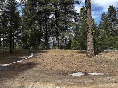 Cascade Lakeview Lot. Tucked at the end of a quiet cul-de-sac - photo 5