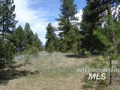 Cascade Lakeview Lot. Tucked at the end of a quiet cul-de-sac - photo 6