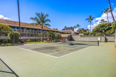 Ground floor Kihei Bay Surf studio with ocean views from the - photo 23