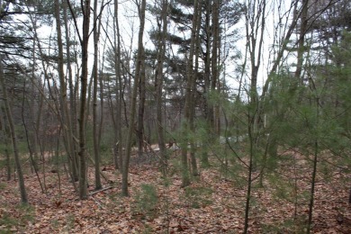 Lake Acreage For Sale in Huntingdon, Pennsylvania
