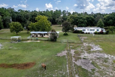 (private lake, pond, creek) Home For Sale in Lady Lake Florida