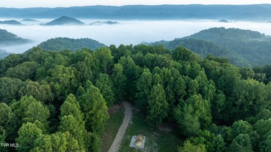 Clinch River - Hancock County Home For Sale in Sneedville Tennessee