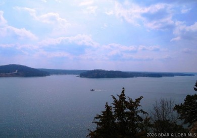 A VIEW FOR MILES! This one-of-a-kind custom log home showcases - photo 6