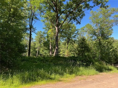 Johnson Lake- Burnett County Lot For Sale in Webster Wisconsin