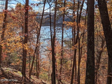 Lake Lot For Sale in Sharps Chapel, Tennessee