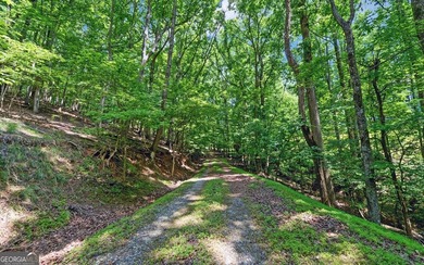 A Rare Lake Lanier Retreat on 4.24 Private Acres in a Deepwater - photo 5