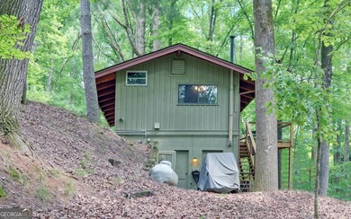 A Rare Lake Lanier Retreat on 4.24 Private Acres in a Deepwater - photo 10