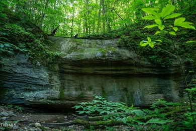 Welcome to a once-in-a-lifetime opportunity to own a truly - photo 4