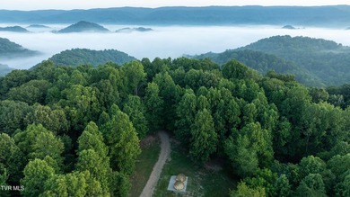 Welcome to a once-in-a-lifetime opportunity to own a truly - photo 5