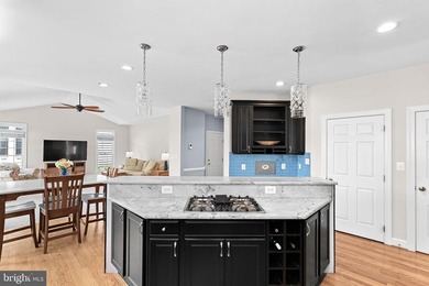 Welcome to 25781 Planting Field Drive in South Riding, where - photo 19