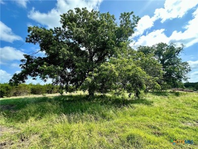 Lake Acreage For Sale in Lampasas, Texas