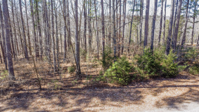 Rough River Lake Lot For Sale in Falls Of Rough Kentucky