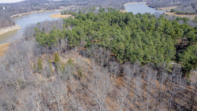 Marina Point Lot - Restricted Neighborhood -  On a Cove - photo 8