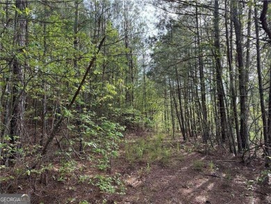 Lake Allatoona Acreage For Sale in White Georgia