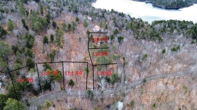 Lake Lot For Sale in Bowerbank, Maine