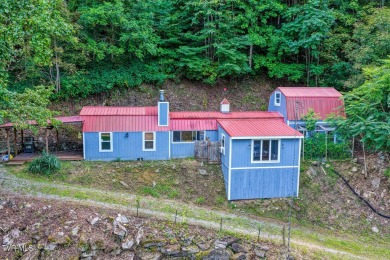Lake Home For Sale in Eidson, Tennessee