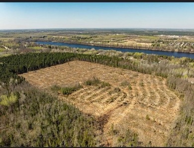 Cleared 25.2 acre residential development opportunity in - photo 2