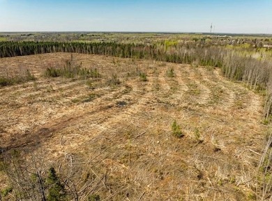 Cleared 25.2 acre residential development opportunity in - photo 5