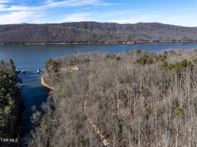 Watauga Lake Acreage For Sale in Butler Tennessee