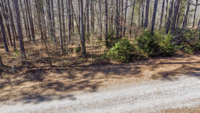 Marina Point Lot - Restricted Neighborhood -  On a Cove - photo 2