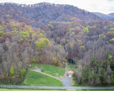 Holston River - Hawkins County Acreage For Sale in Surgoinsville Tennessee