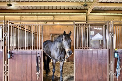 Welcome to this extraordinary 53+/- acre luxury equestrian - photo 8