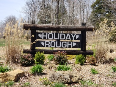 Beautiful Tree Covered Off The Water Lots In Holiday Rough - Lake Lot For Sale in Leitchfield, Kentucky