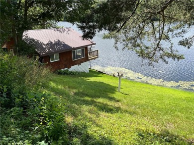 Lake Home For Sale in Wakefield Twp, Minnesota